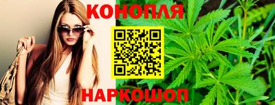 spice Пенза