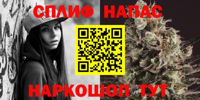 spice Пенза