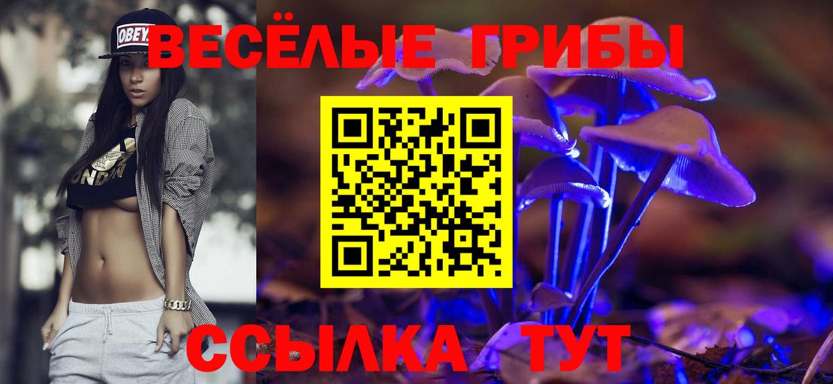 Галлюциногенные грибы Psilocybine cubensis Тамбов